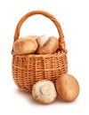 brown mushroom basket