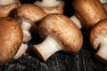 brown mushroom on black wood