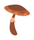 Brown mushroom with lamellar cap Royalty Free Stock Photo