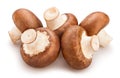 brown mushrooms Royalty Free Stock Photo