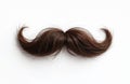 Brown mustache made from hair isolated on white background. It is styled with curls on both ends. This object can represent style Royalty Free Stock Photo