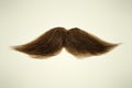 Brown mustache on a sepia background Royalty Free Stock Photo