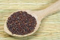 Brown mustard seeds Royalty Free Stock Photo