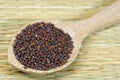 Brown mustard seeds