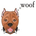 Snout of staff with say woof