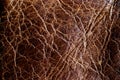 Brown natural leather texture Royalty Free Stock Photo