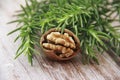 Brown natural walnut in a hard shell Royalty Free Stock Photo