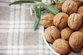 Brown natural walnut in a hard shell Royalty Free Stock Photo