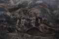 Brown natural wood inlay texture extreme close-up on a car door panel Royalty Free Stock Photo