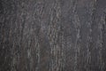 Brown natural wood inlay texture extreme close-up on a car door panel Royalty Free Stock Photo