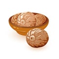 Brown nutmeg seeds with slightly sweeter flavour are in ceramic bowl. Natural product.