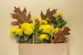 Brown oak leaves and yellow chrysanthemums in a craft bag on a brown background. Autumn bouquet Royalty Free Stock Photo