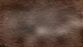 Brown Old Grunge Paper Background Royalty Free Stock Photo