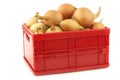 Brown onions in a red plastic box