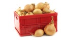 Brown onions in a red plastic box