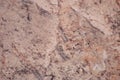 Brown onyx, polished surface of natural stone close-up. Background. Close up shot Royalty Free Stock Photo