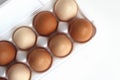 Tray of eggs with one on a white background Royalty Free Stock Photo