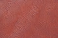 Brown orange leather texture, background, surface. For your backdrop, with copy space Royalty Free Stock Photo