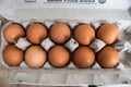 Brown Organic Eggs in Carton