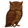Brown Owl with Compass Eyes Intricate Vector Illustration on White Background Royalty Free Stock Photo