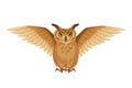 Brown owl with open wings. Vector illustration. Royalty Free Stock Photo