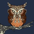 Brown Owl