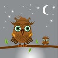 Brown owls sitting on a branch at night