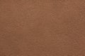 Brown painted stucco wall. Royalty Free Stock Photo