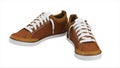 Brown pair of sport sneakers