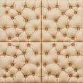 Brown panel Capito Royalty Free Stock Photo