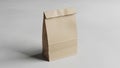 Brown paper bag with a folded top is centered on a smooth light gray Royalty Free Stock Photo