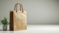 Minimalist Brown Paper Shopping Bag with Green Plant Royalty Free Stock Photo