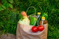 Brown paper bag with vegetables, standing on the green grass