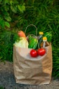 Brown paper bag with vegetables, standing on the green grass