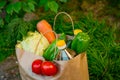 Brown paper bag with vegetables, standing on the green grass