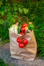 Brown paper bag with vegetables, standing on the green grass