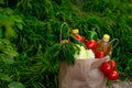 brown paper bag with vegetables, standing on the green grass