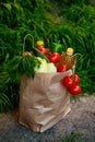 Brown paper bag with vegetables, standing on the green grass