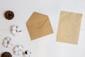 Brown paper with brown envelope with cotton flower and pine corns over the white wooden background.