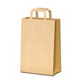 Brown paper carry bag 3D