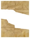 Brown paper scroll