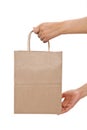 Brown paper shopping bag