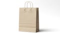 Brown paper shopping bag isolated on white background Royalty Free Stock Photo