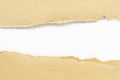 Brown paper torn Royalty Free Stock Photo