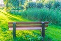 Brown park bench at the park with grass lawn and reed