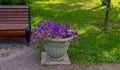 A brown Park bench and two vases of flowers