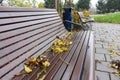 Brown park benches with fallen leaves in autumn