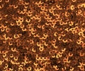 A Brown Pattern Background