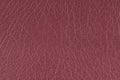 Brown pattern, design, leather fabric for sewing, dermantine, artificial leather texture background Royalty Free Stock Photo