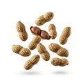 Brown peanuts with one shell open showing two peanuts inside floating against a white background Royalty Free Stock Photo